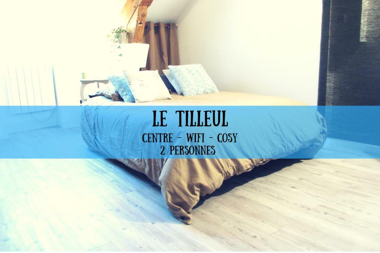 Studio Le Tilleul Appartamento Digione Esterno foto